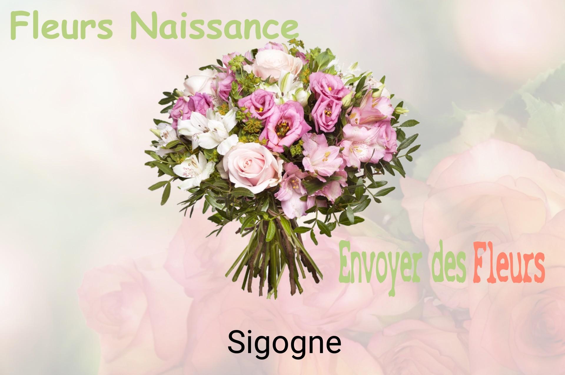 Bouquet de fleurs de naissance livré à Sigogne